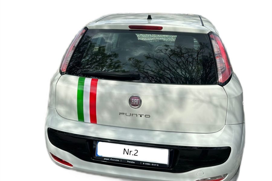 Fiat Punto Grande EVO1.4 8V Estiva – NR.2